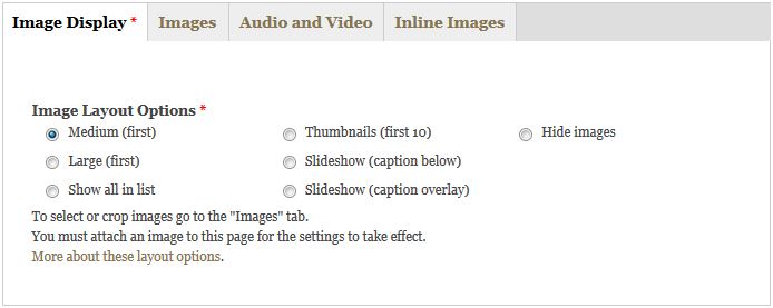 Example of image display tab