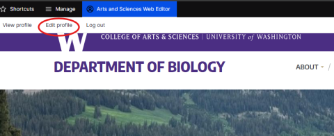 screenshot of profile editor menu